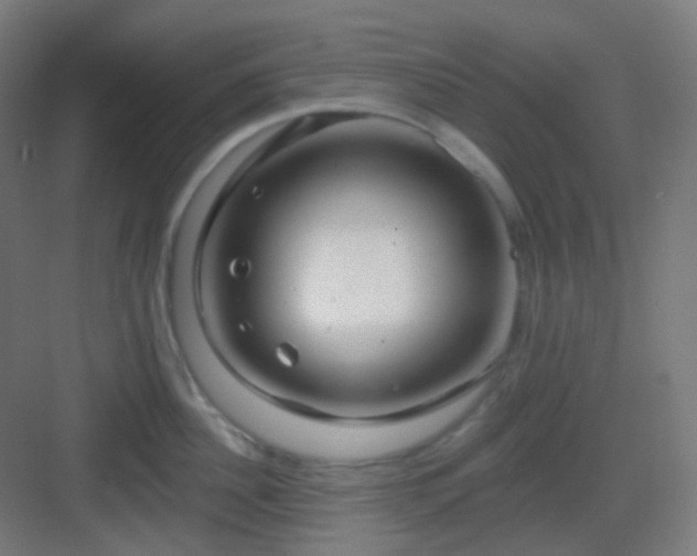 X0000083020956200702091313
