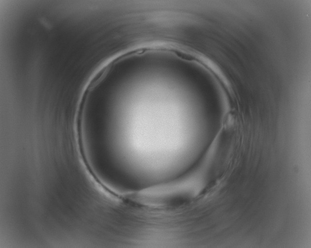 X0000083020959200702091313