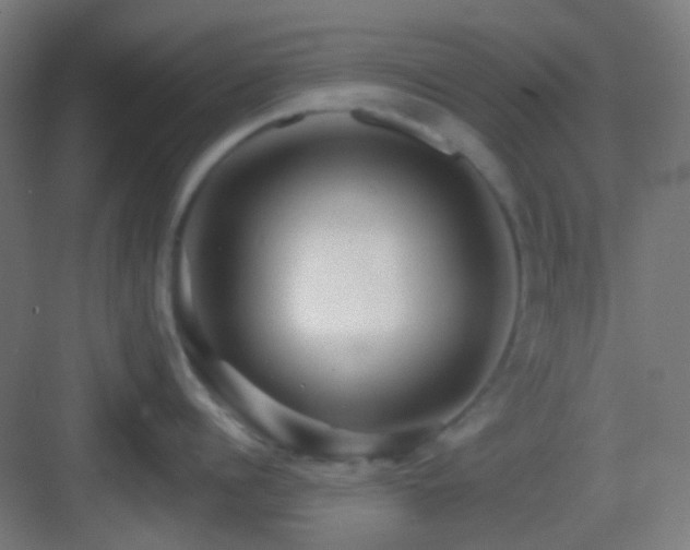 X0000083020960200702091313