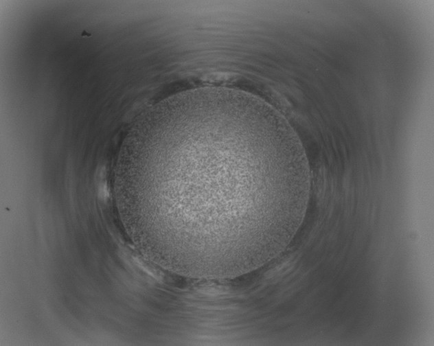 X0000083020962200702091313