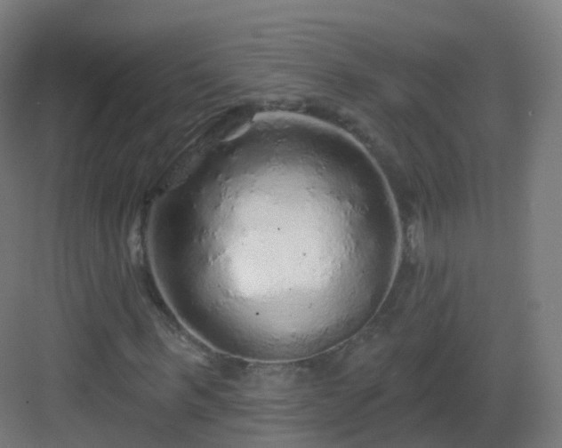 X0000083020963200702091313