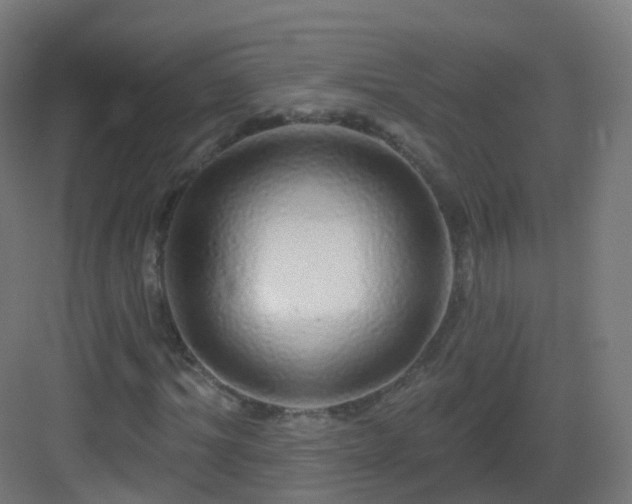 X0000083020964200702091313