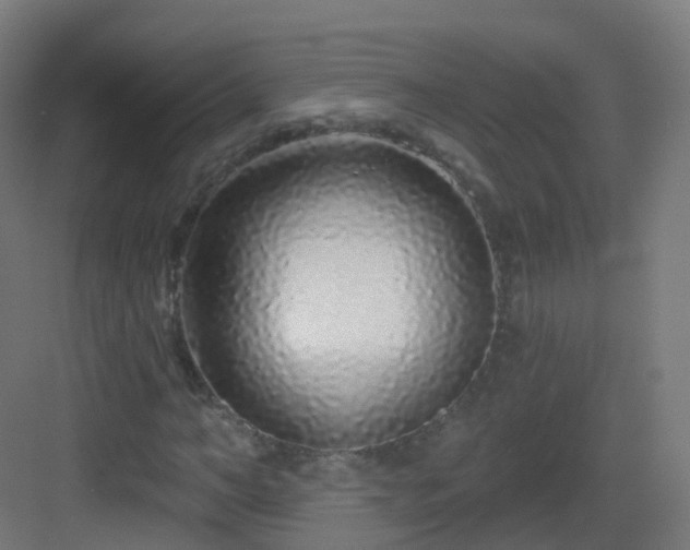 X0000083020966200702091312
