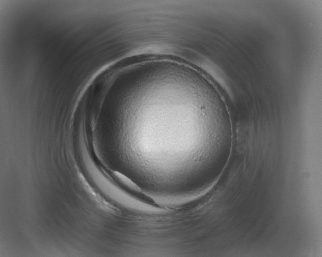 X0000083020972200702091312