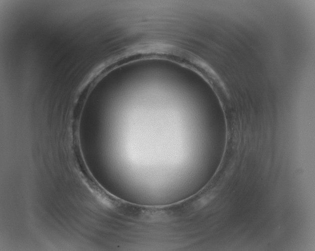 X0000083020978200702091312