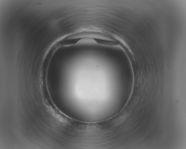 X0000083020979200702091312