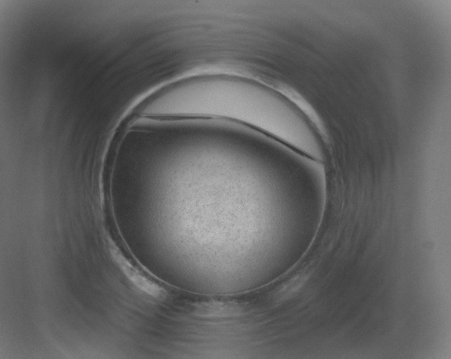 X0000083020980200702091312