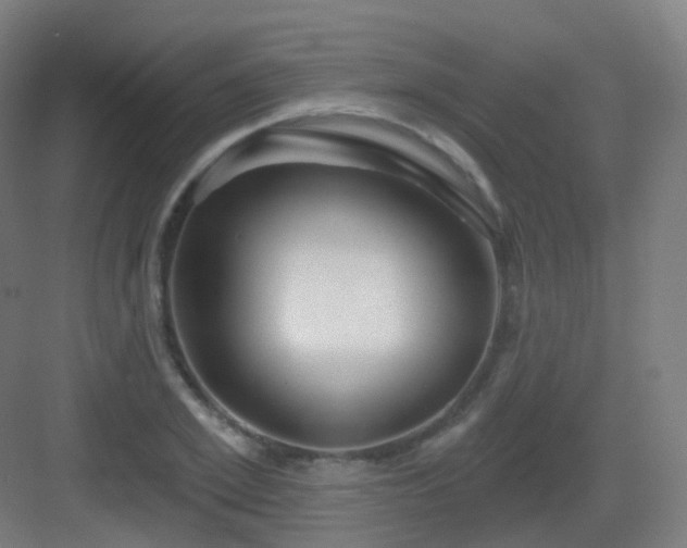 X0000083020981200702091312