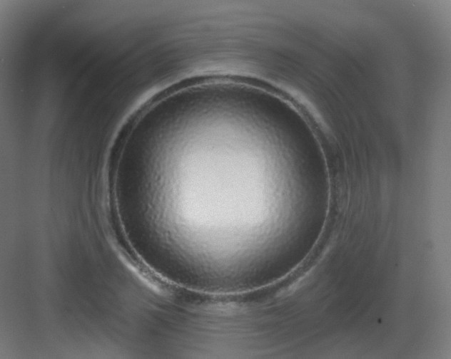 X0000083020982200702091312