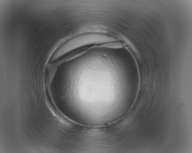 X0000083020986200702091312