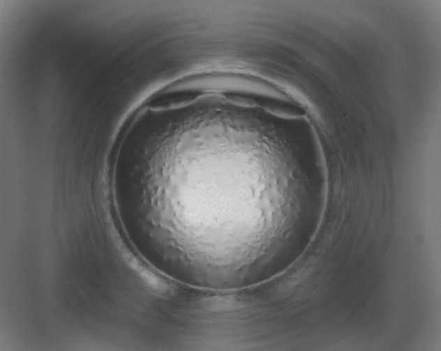 X0000083020990200702091312