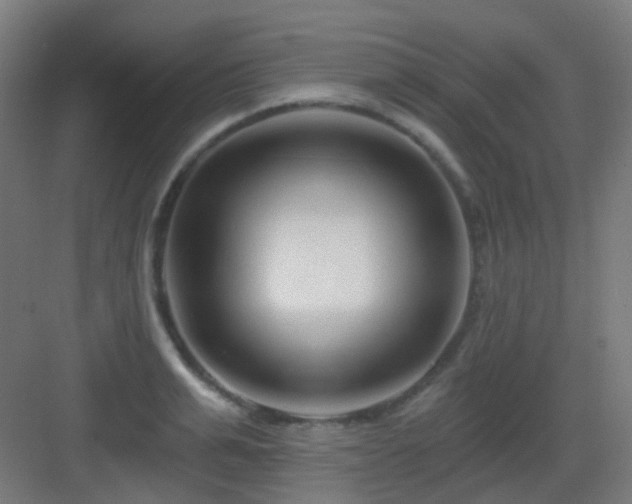 X0000083020991200702091312