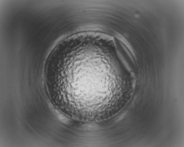 X0000083020994200702091312