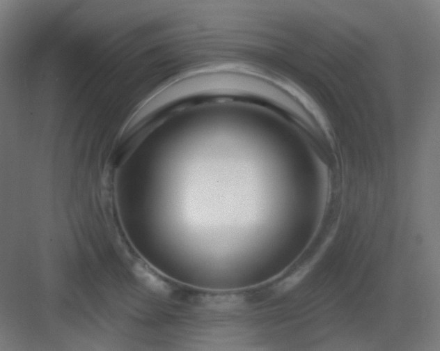 X0000083021001200702091312