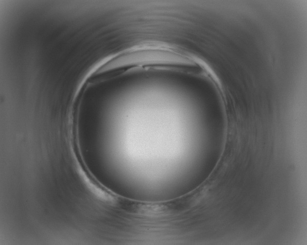 X0000083021003200702091312