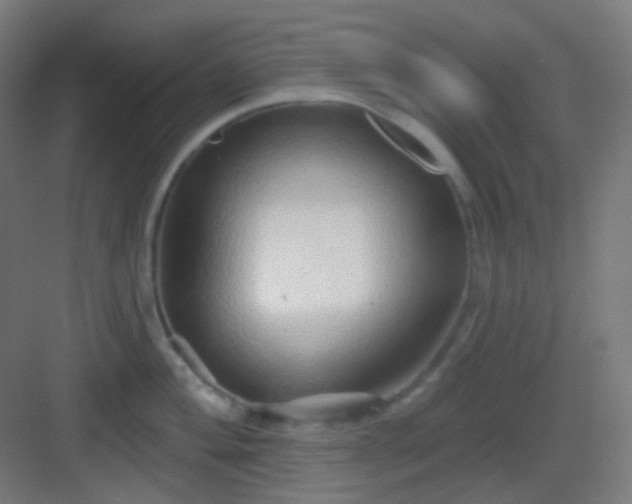 X0000083021004200702091312