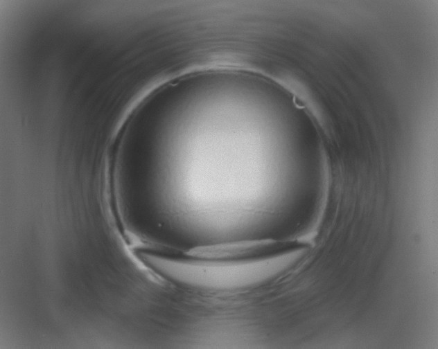 X0000083021006200702091312