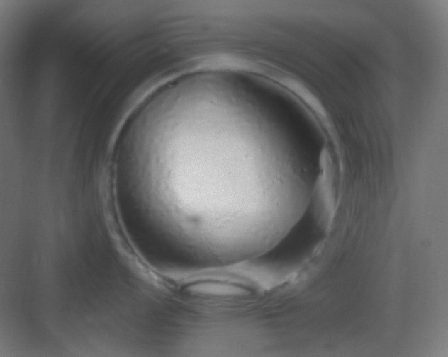X0000083021008200702091312
