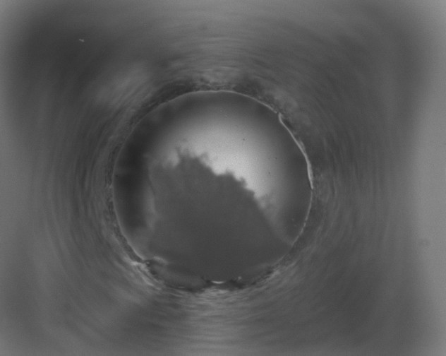 X0000083021009200702091311
