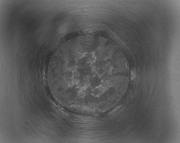 X0000083021011200702091311