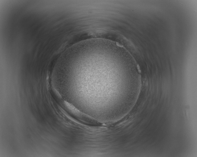 X0000083021012200702091311