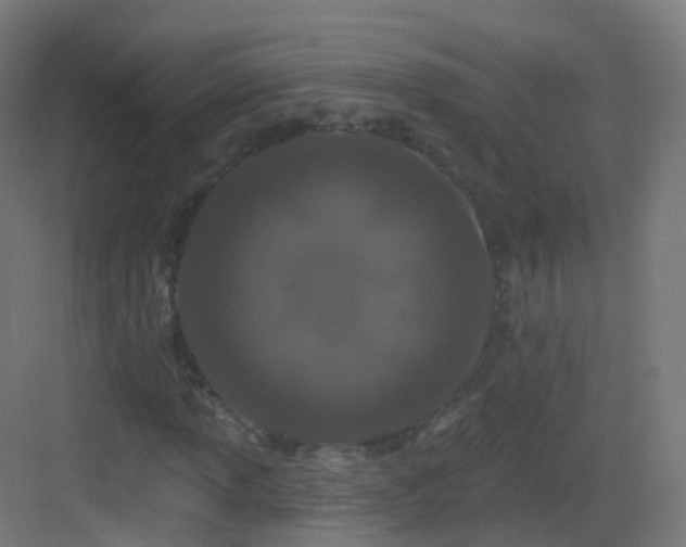 X0000083021013200702091311