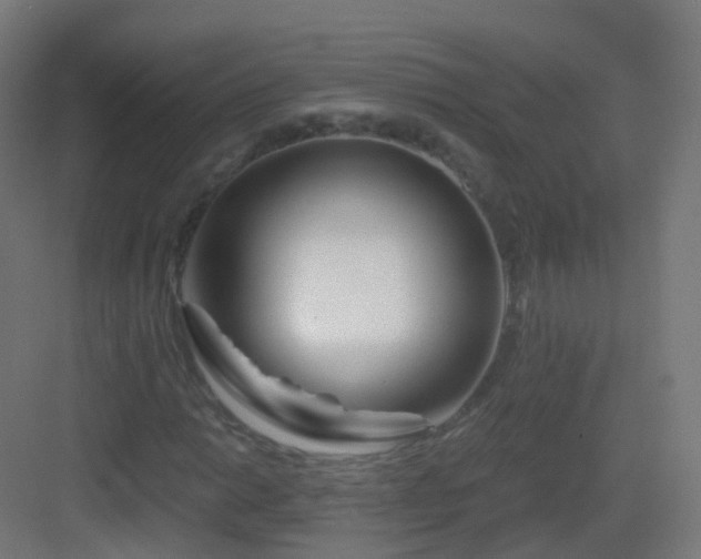 X0000083021014200702091311