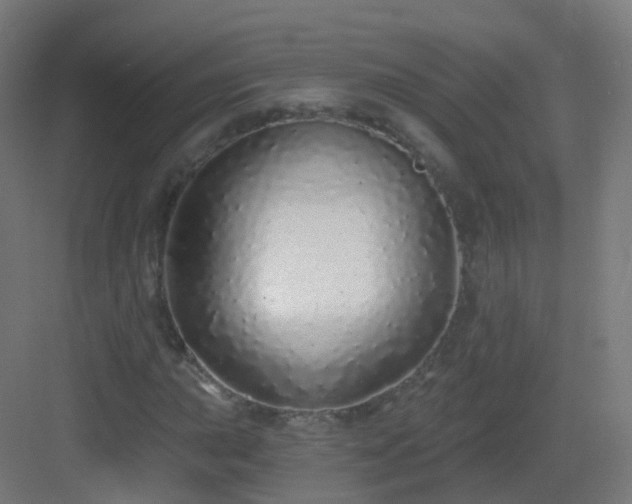 X0000083021015200702091311