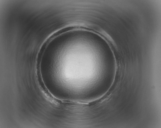 X0000083021020200702091311