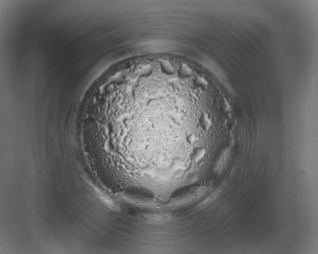 X0000083021023200702091311