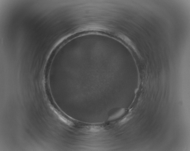 X0000083021024200702091311