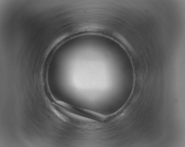 X0000083021026200702091311