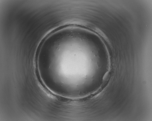 X0000083021028200702091311