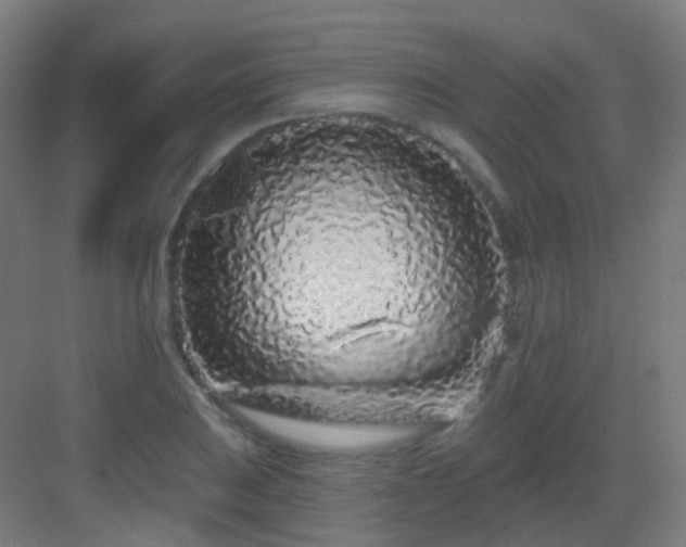 X0000083021031200702091311