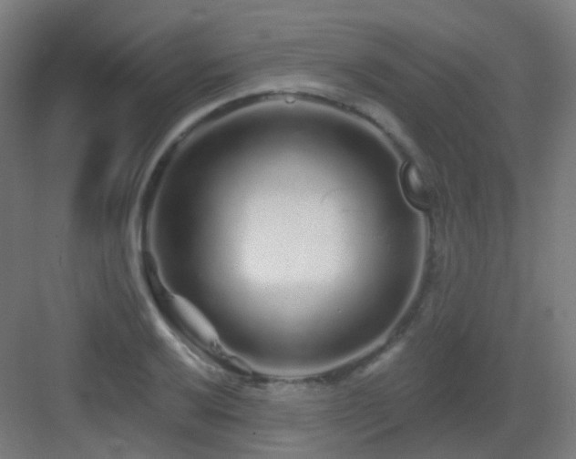 X0000083021032200702091311