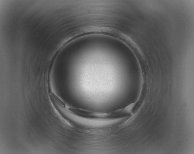 X0000083021033200702091311