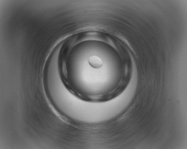 X0000083021034200702091311