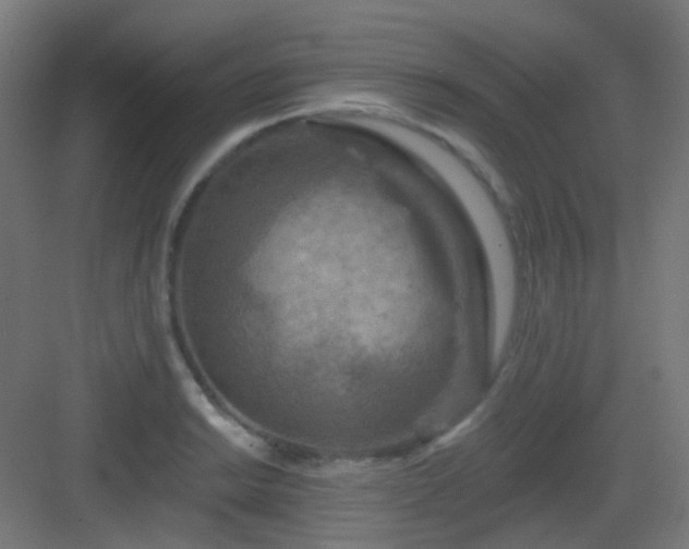 X0000083021038200702091311