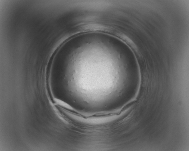 X0000083021039200702091311
