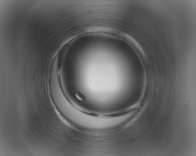 X0000083021041200702091311