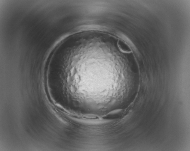 X0000083021043200702091312