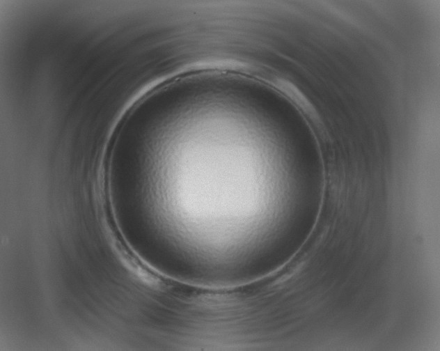 X0000083021044200702091312