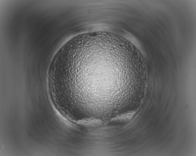 X0000083021047200702091312