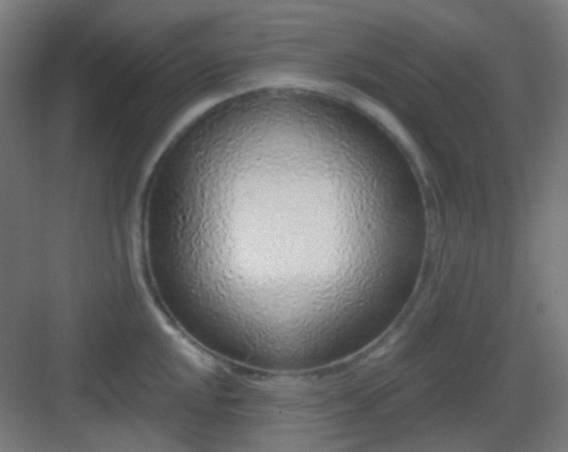 X0000083021048200702091312