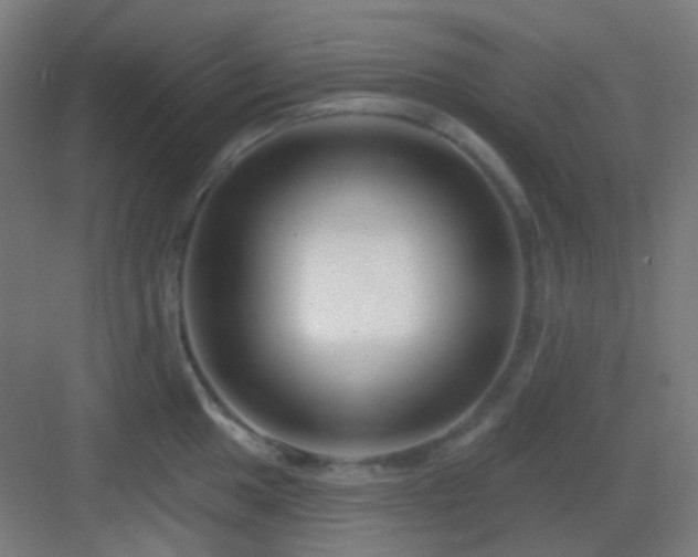 X0000083021049200702091312