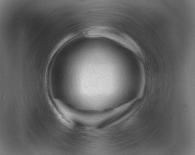 X0000083021050200702091312