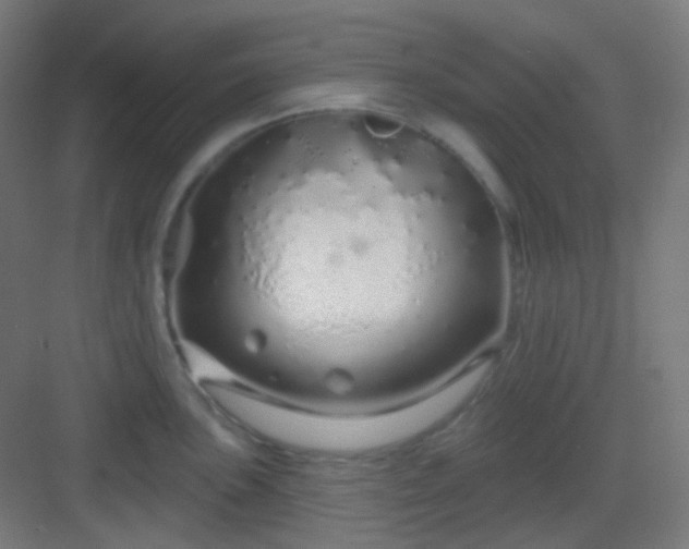 X0000083021051200702091312