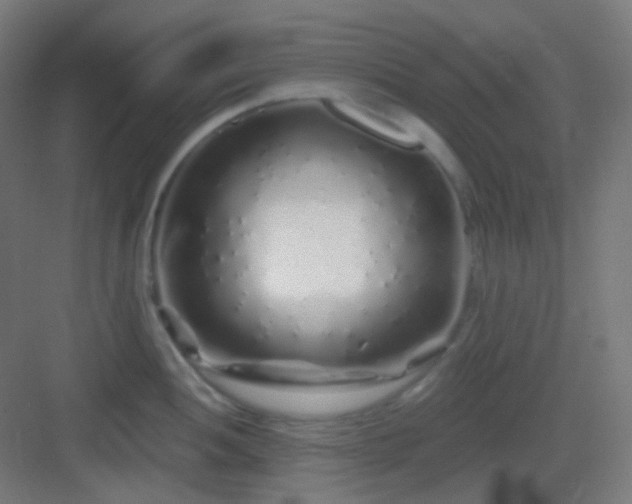 X0000083021052200702091312