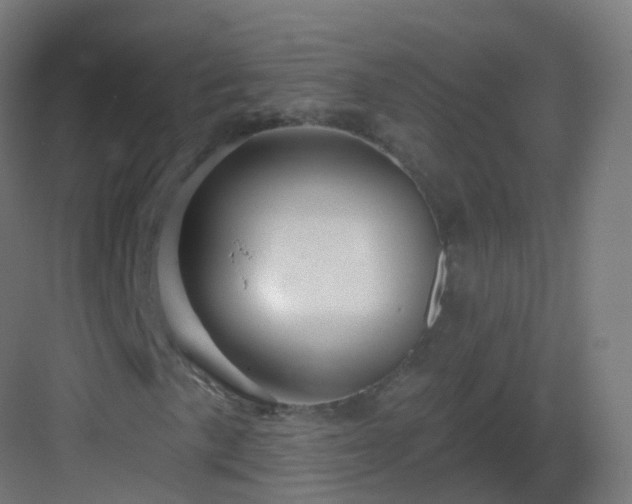 X0000083021057200702091311