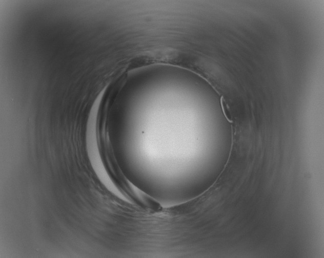 X0000083021058200702091311